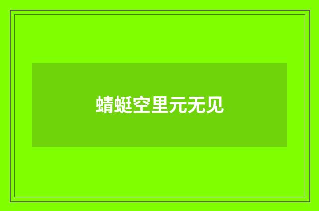 蜻蜓空里元无见