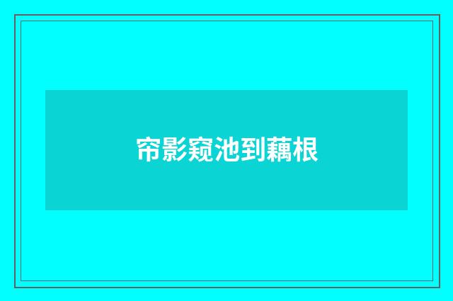 帘影窥池到藕根