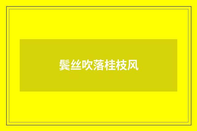 鬓丝吹落桂枝风
