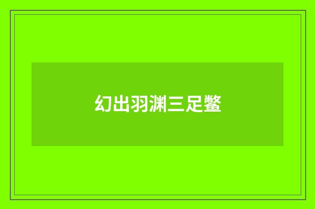 幻出羽渊三足鳖