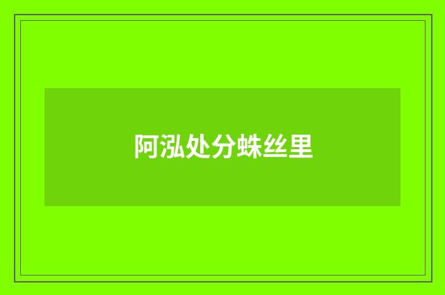 阿泓处分蛛丝里