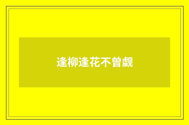 逢柳逢花不曾觑
