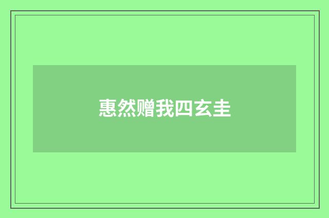 惠然赠我四玄圭