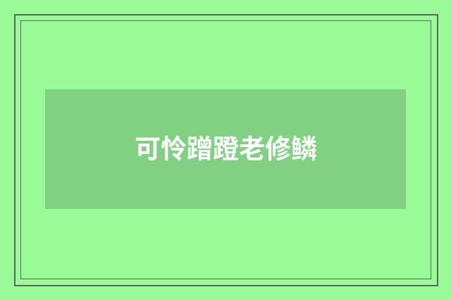 可怜蹭蹬老修鳞