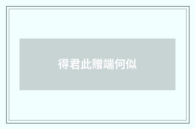 得君此赠端何似
