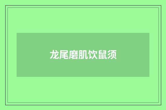 龙尾磨肌饮鼠须