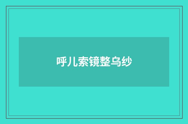 呼儿索镜整乌纱