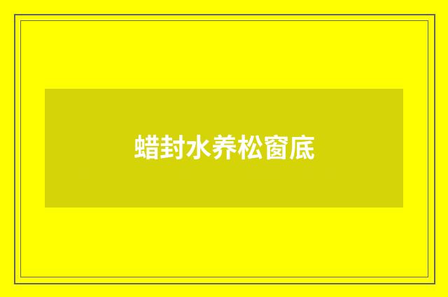 蜡封水养松窗底