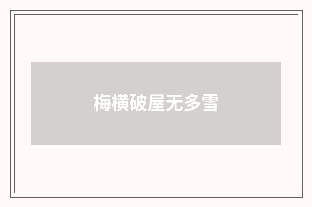 梅横破屋无多雪