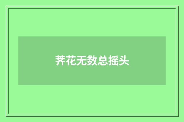 荠花无数总摇头
