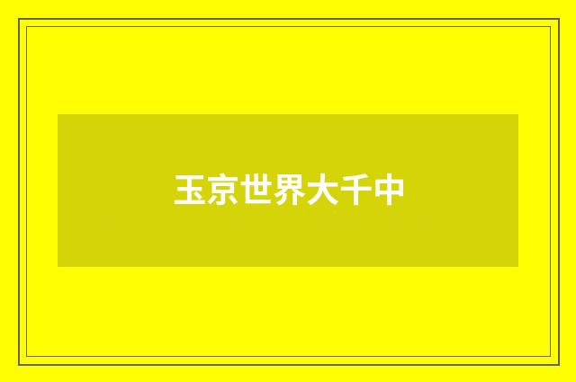 玉京世界大千中