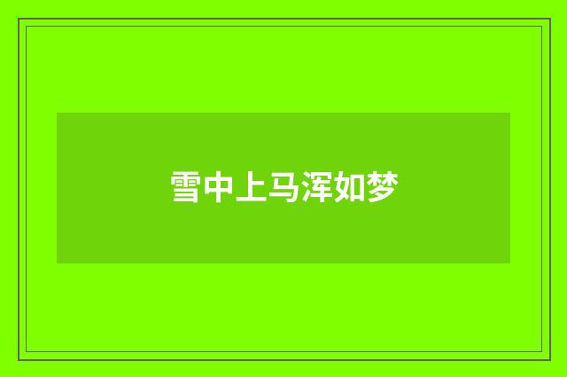 雪中上马浑如梦