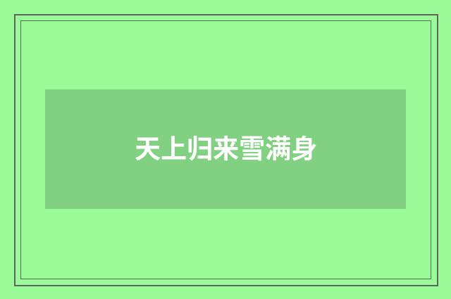 天上归来雪满身