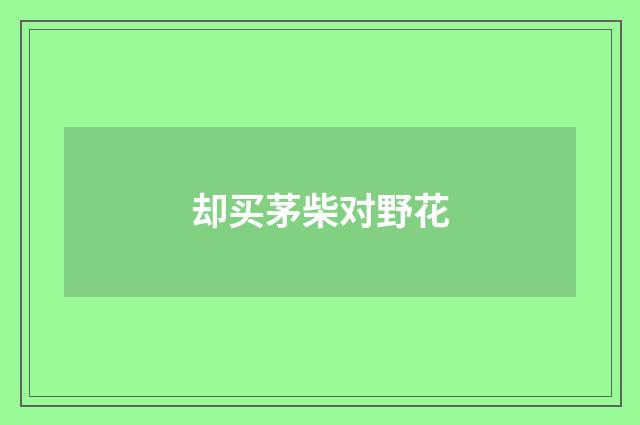 却买茅柴对野花