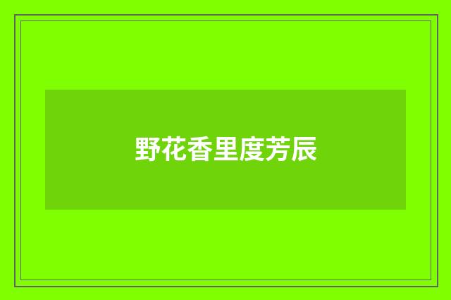 野花香里度芳辰