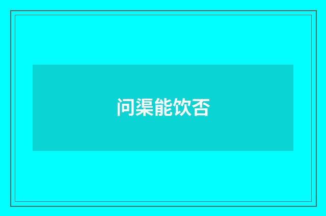 问渠能饮否