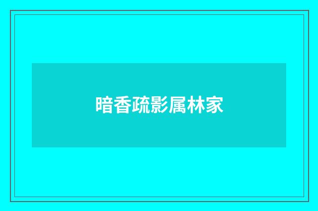 暗香疏影属林家