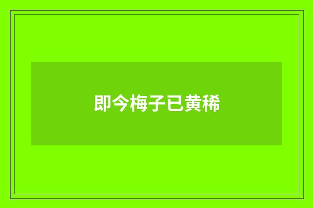 即今梅子已黄稀