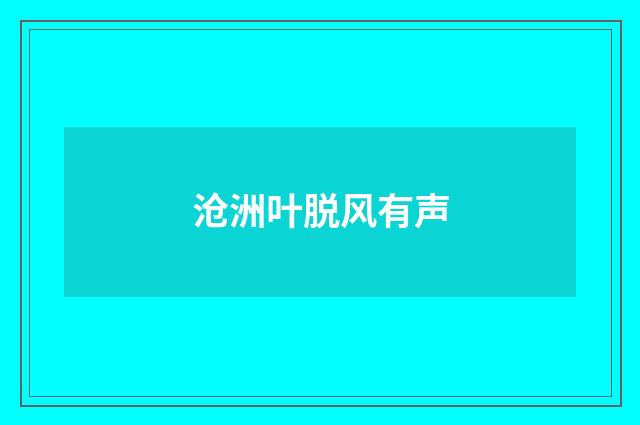 沧洲叶脱风有声
