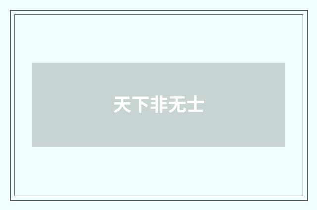 天下非无士