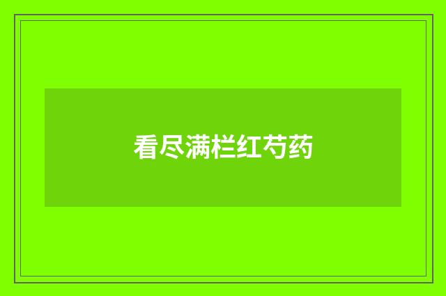 看尽满栏红芍药