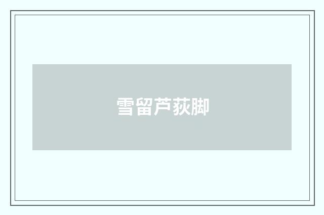 雪留芦荻脚