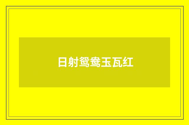 日射鸳鸯玉瓦红