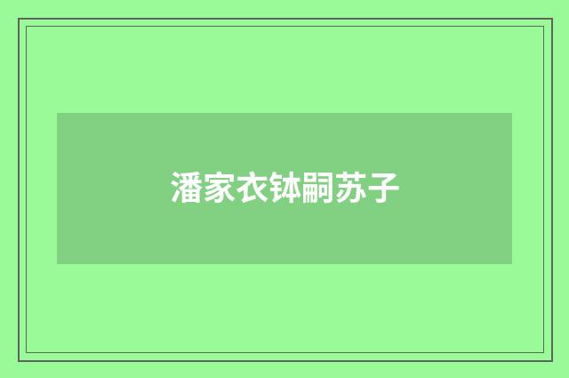 潘家衣钵嗣苏子