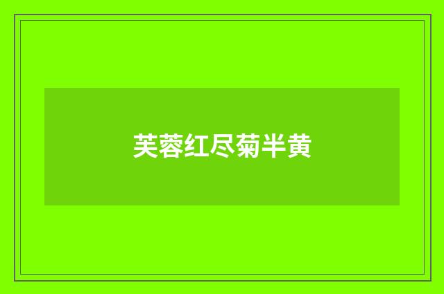 芙蓉红尽菊半黄