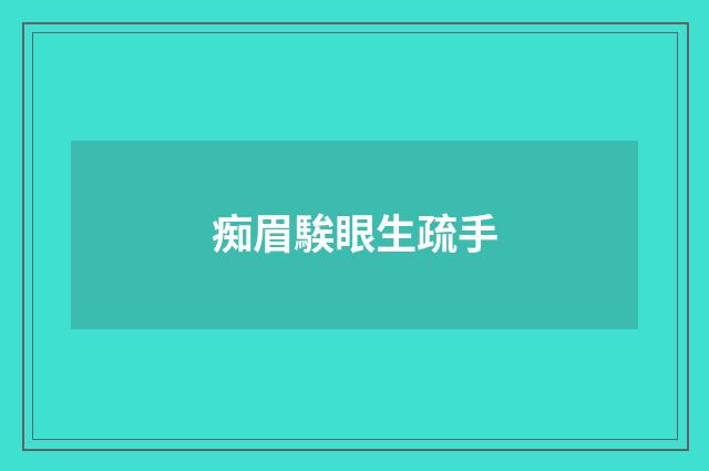 痴眉騃眼生疏手