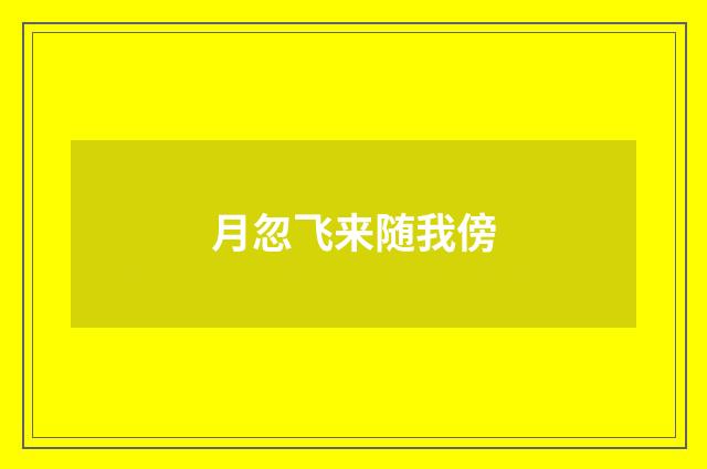 月忽飞来随我傍
