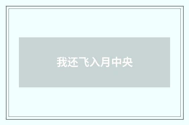 我还飞入月中央