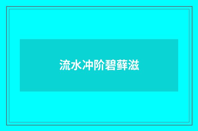 流水冲阶碧藓滋