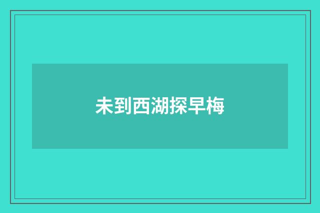 未到西湖探早梅