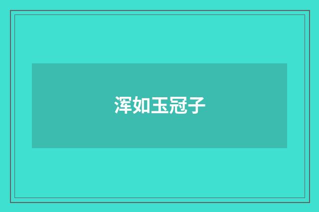浑如玉冠子