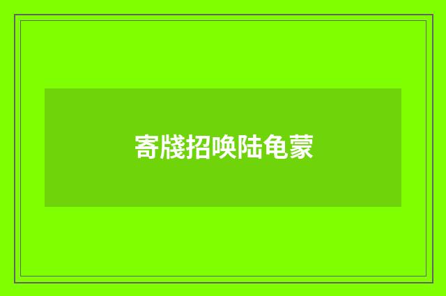 寄牋招唤陆龟蒙