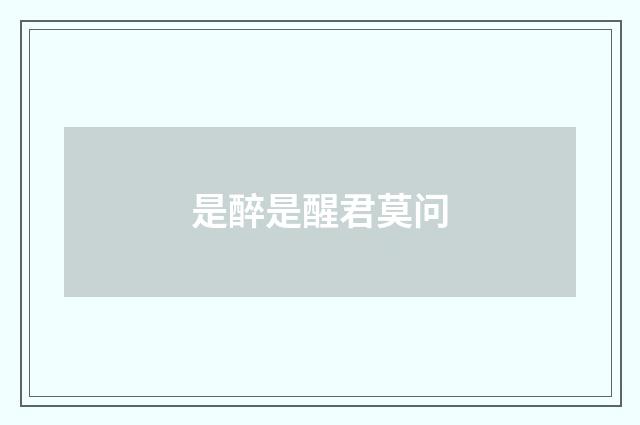 是醉是醒君莫问