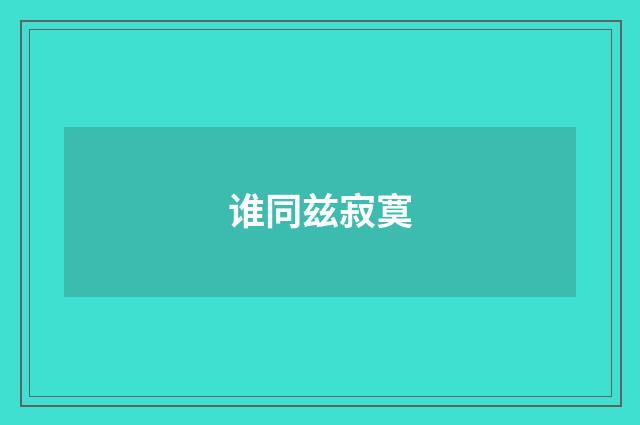谁同兹寂寞