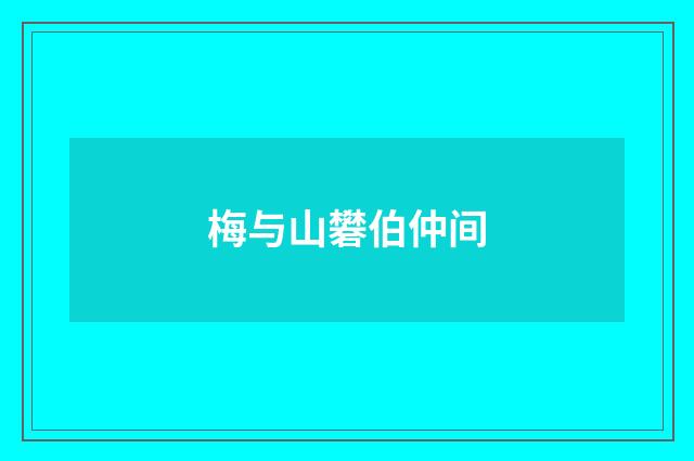 梅与山礬伯仲间