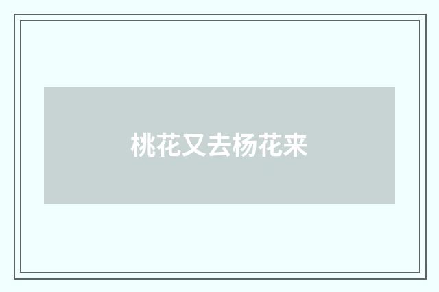 桃花又去杨花来