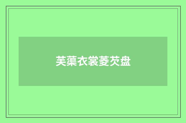 芙蕖衣裳菱芡盘