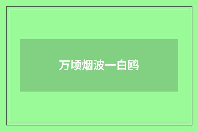 万顷烟波一白鸥