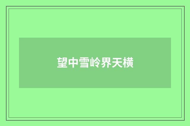 望中雪岭界天横