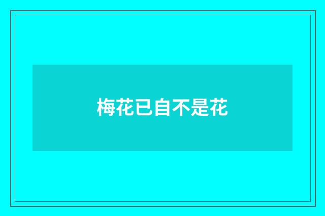 梅花已自不是花