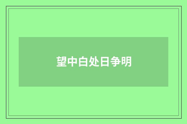 望中白处日争明
