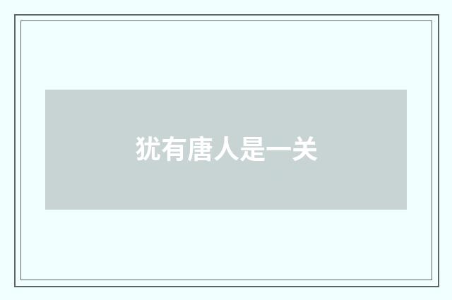 犹有唐人是一关