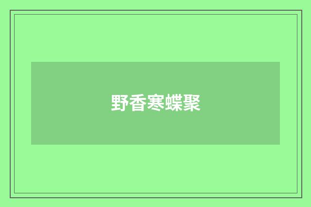 野香寒蝶聚