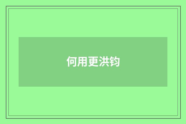 何用更洪钧