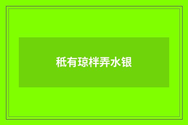 秪有琼柈弄水银