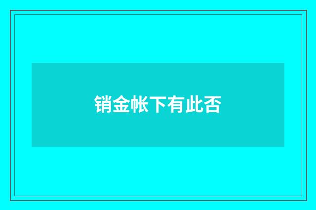 销金帐下有此否